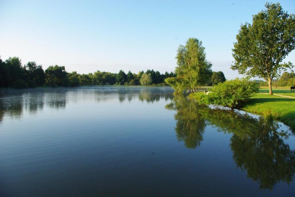 L'Oree Des Chenes, The Originals Relais Ла-Ферте-Сент-Обен Экстерьер фото